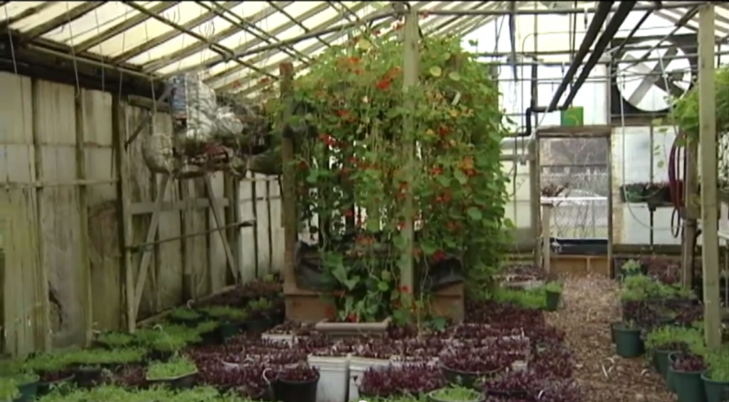 Growing Healthy Food & Feeding The World on a 3 Acre Solar Powered Farm