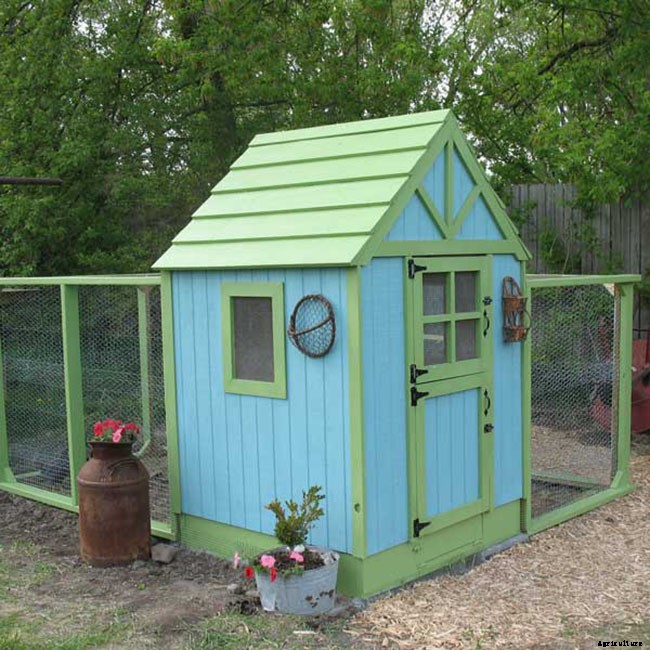 20 Adorable Chicken Coops