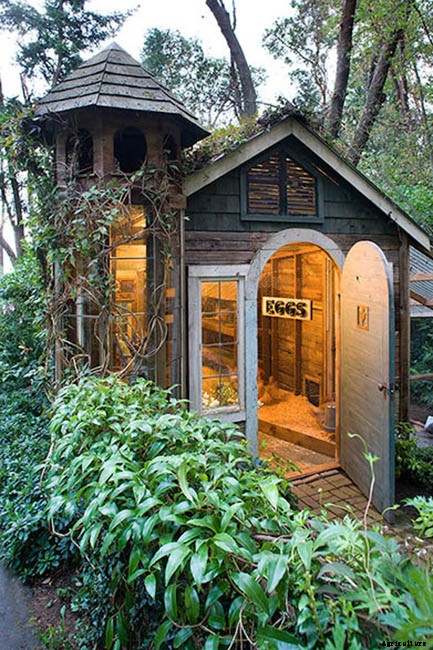 20 Adorable Chicken Coops