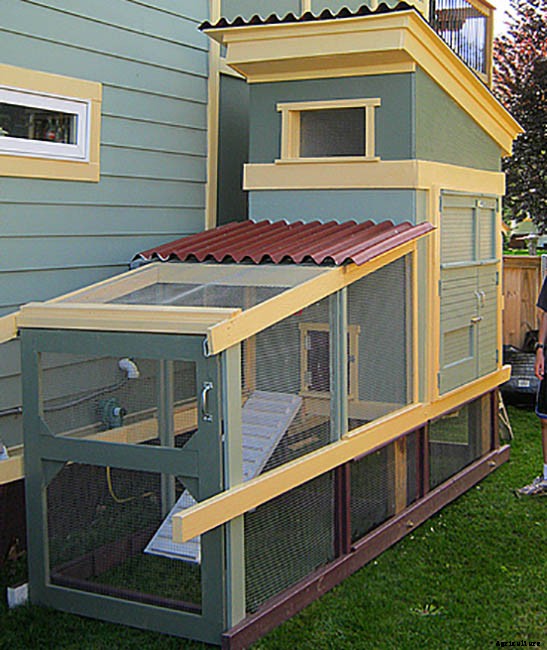 20 Adorable Chicken Coops