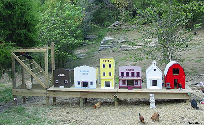 20 Adorable Chicken Coops