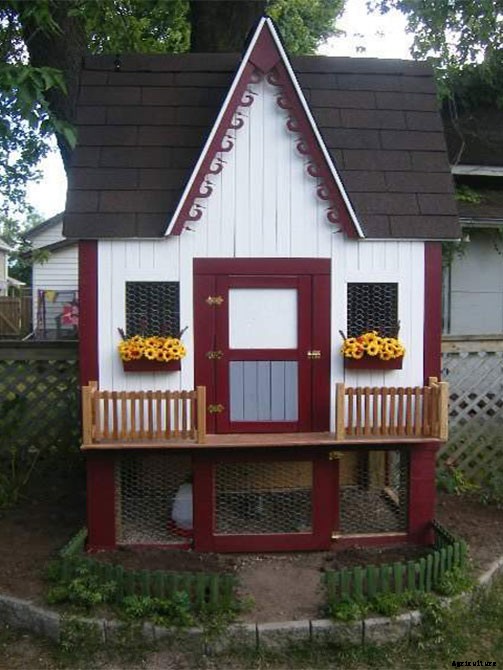 20 Adorable Chicken Coops