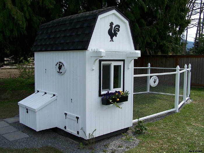 20 Adorable Chicken Coops