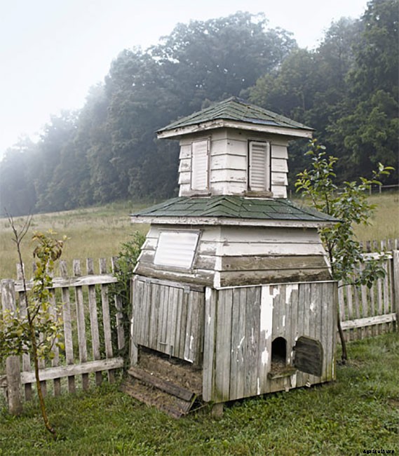 20 Adorable Chicken Coops