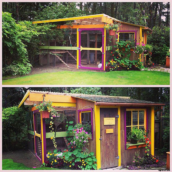 20 Adorable Chicken Coops