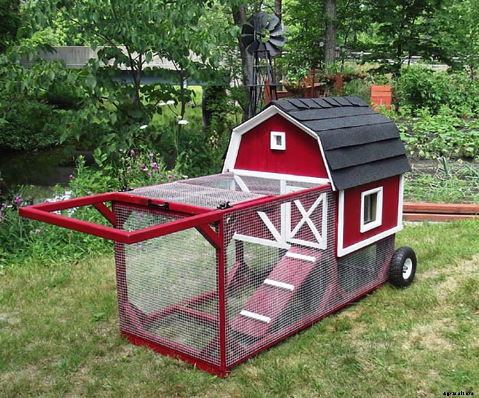 20 Adorable Chicken Coops