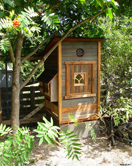 20 Adorable Chicken Coops