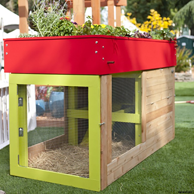20 Adorable Chicken Coops