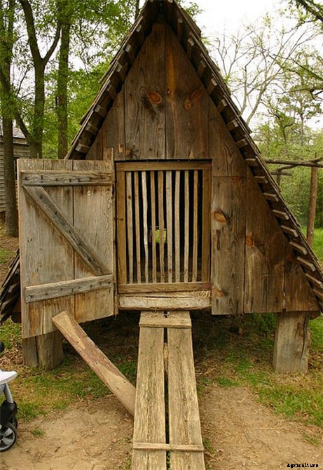 20 Adorable Chicken Coops