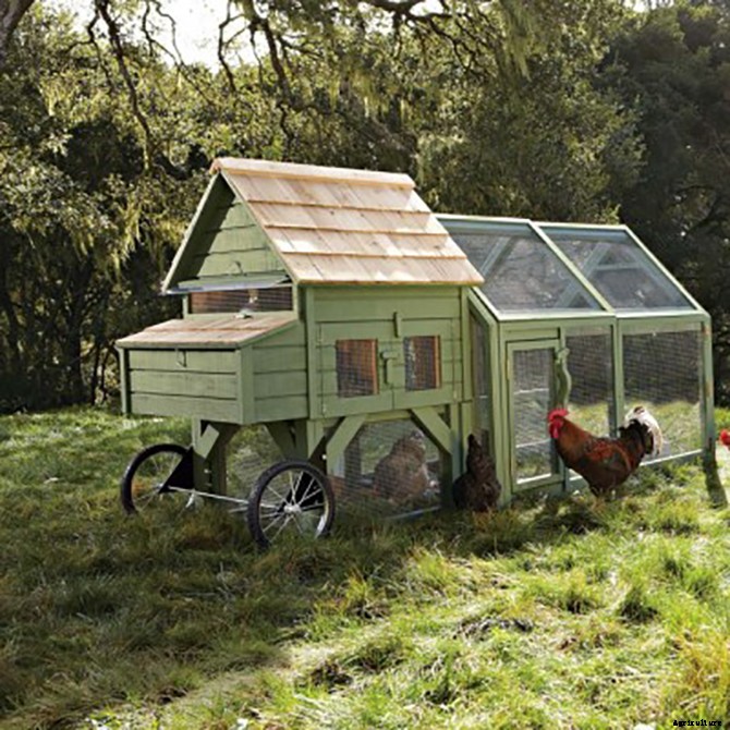 20 Adorable Chicken Coops