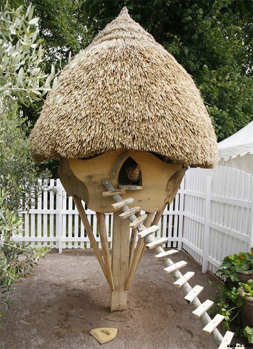 20 Adorable Chicken Coops