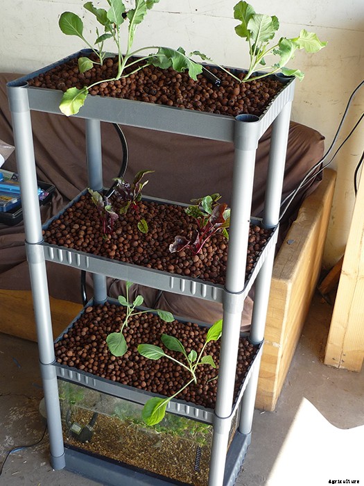 Brilliant DIY Vertical Aquaponic System