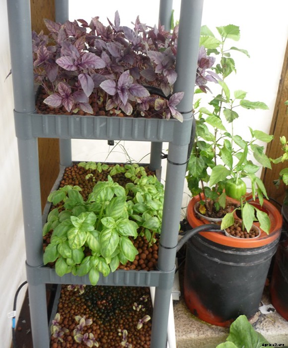 Brilliant DIY Vertical Aquaponic System