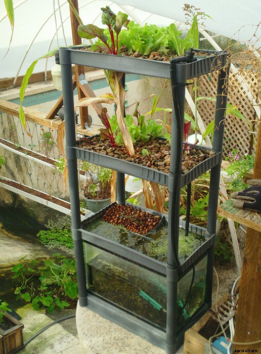 Brilliant DIY Vertical Aquaponic System