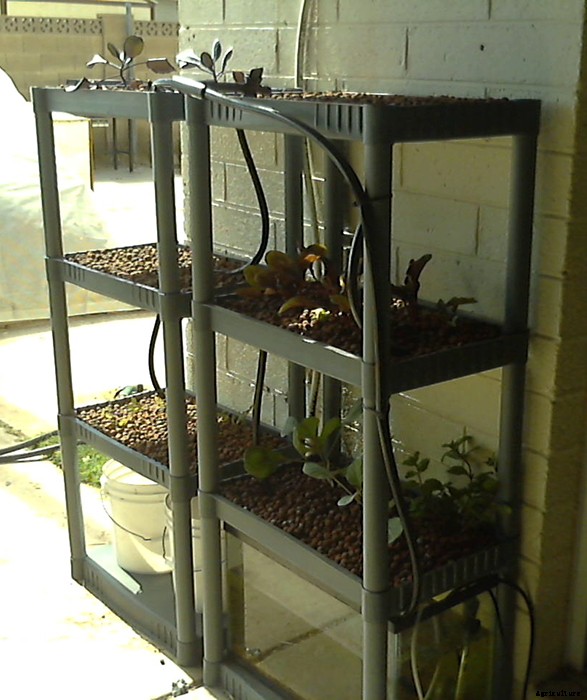 Brilliant DIY Vertical Aquaponic System
