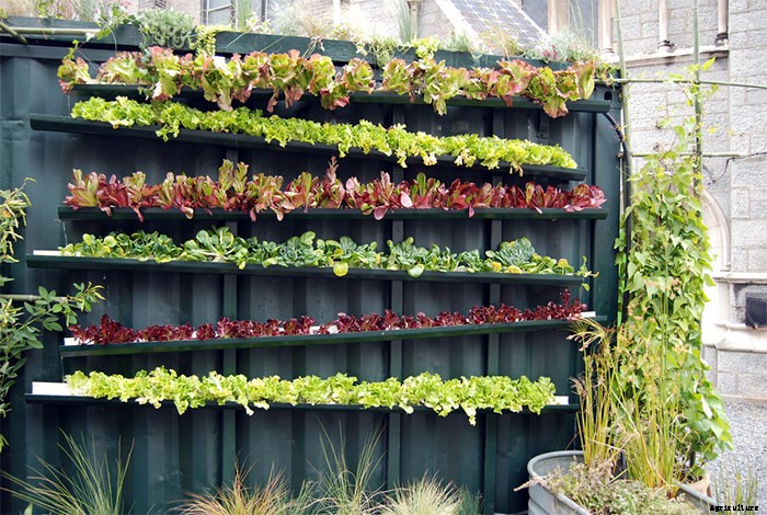 10 Easy DIY Vertical Garden Ideas