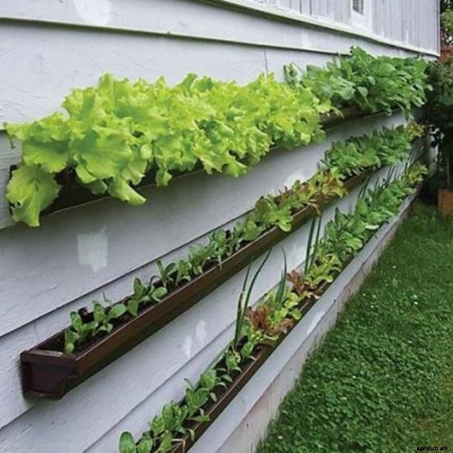 10 Easy DIY Vertical Garden Ideas