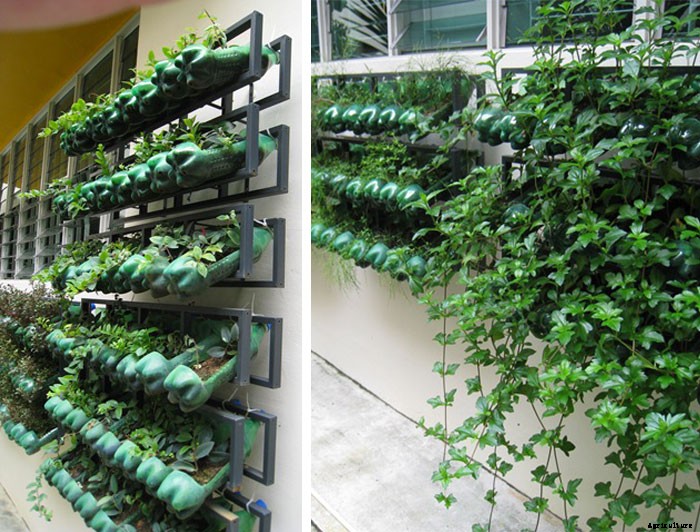10 Easy DIY Vertical Garden Ideas