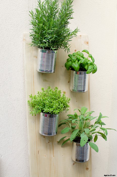 10 Easy DIY Vertical Garden Ideas