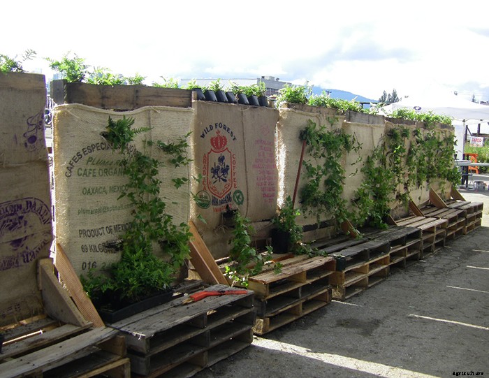 10 Easy DIY Vertical Garden Ideas