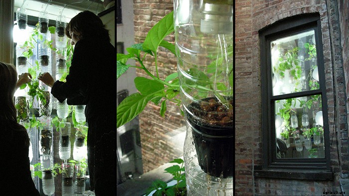 10 Easy DIY Vertical Garden Ideas