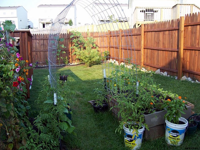 Awesome Use of Space in a Small Backyard Garden