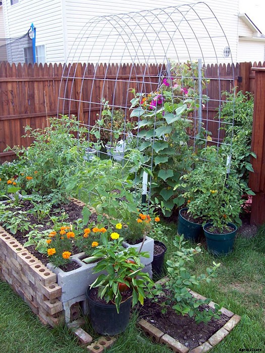 Awesome Use of Space in a Small Backyard Garden