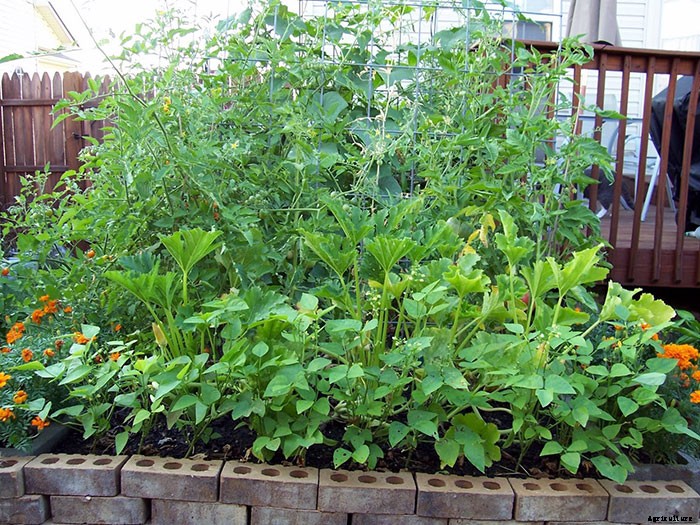 Awesome Use of Space in a Small Backyard Garden