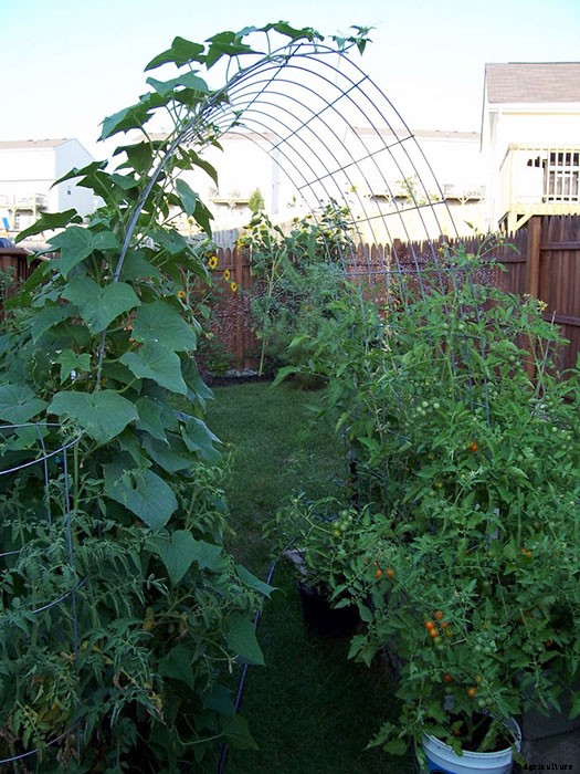 Awesome Use of Space in a Small Backyard Garden