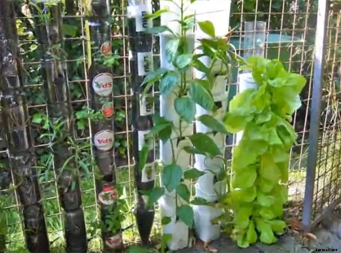 Bottle Tower Gardens Provide Exceptionally Efficient Small Space Growing