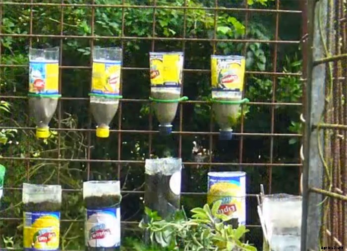 Bottle Tower Gardens Provide Exceptionally Efficient Small Space Growing