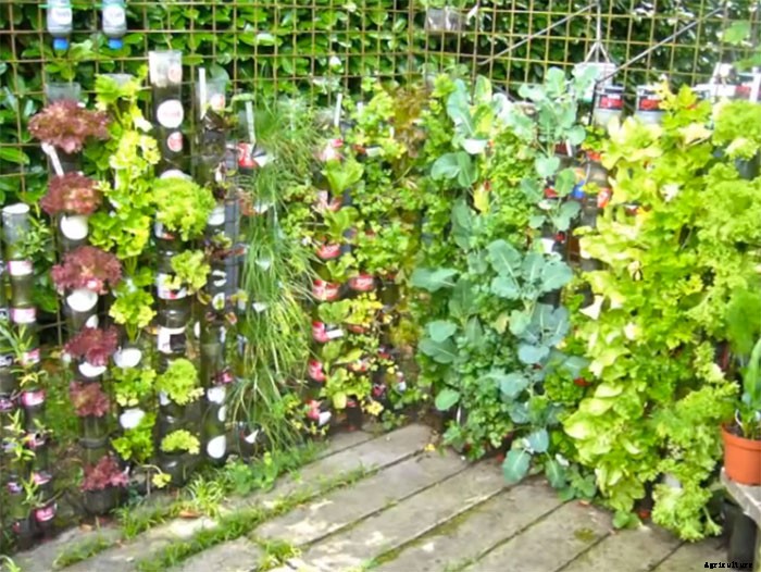 Bottle Tower Gardens Provide Exceptionally Efficient Small Space Growing