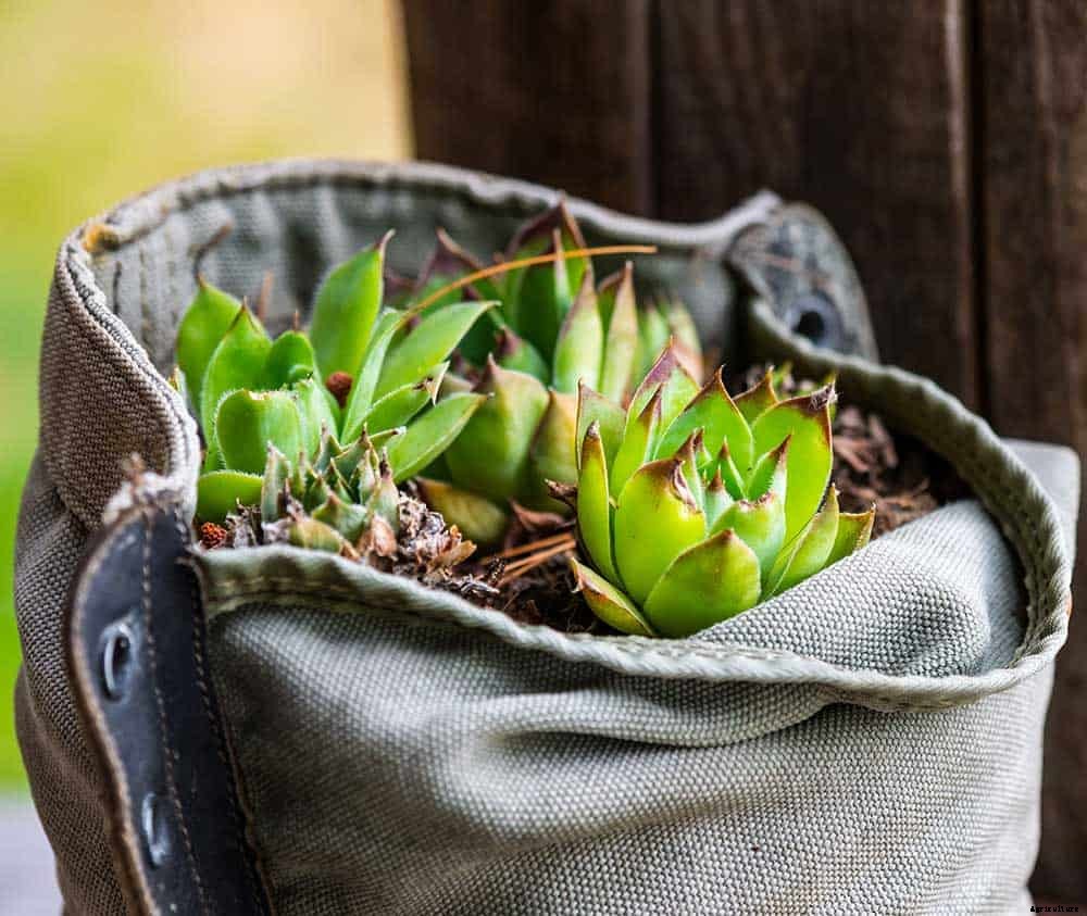 25 Wonderfully Creative Flower Pots & Planters!