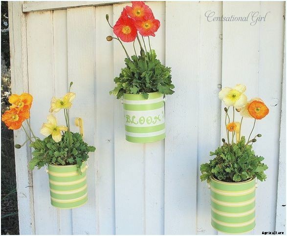 25 Wonderfully Creative Flower Pots & Planters!