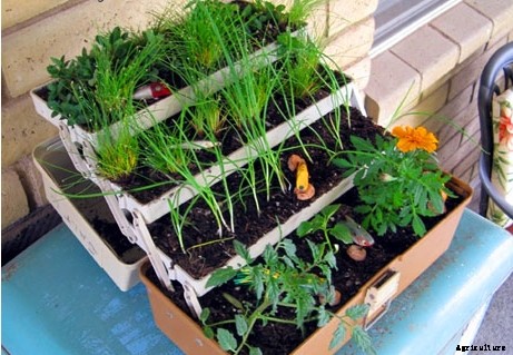 25 Wonderfully Creative Flower Pots & Planters!