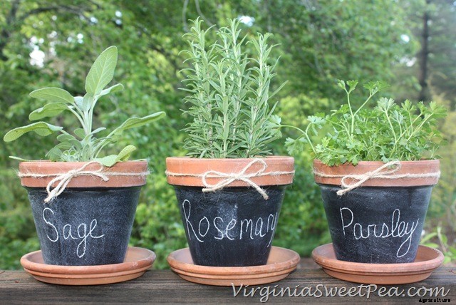 25 Wonderfully Creative Flower Pots & Planters!