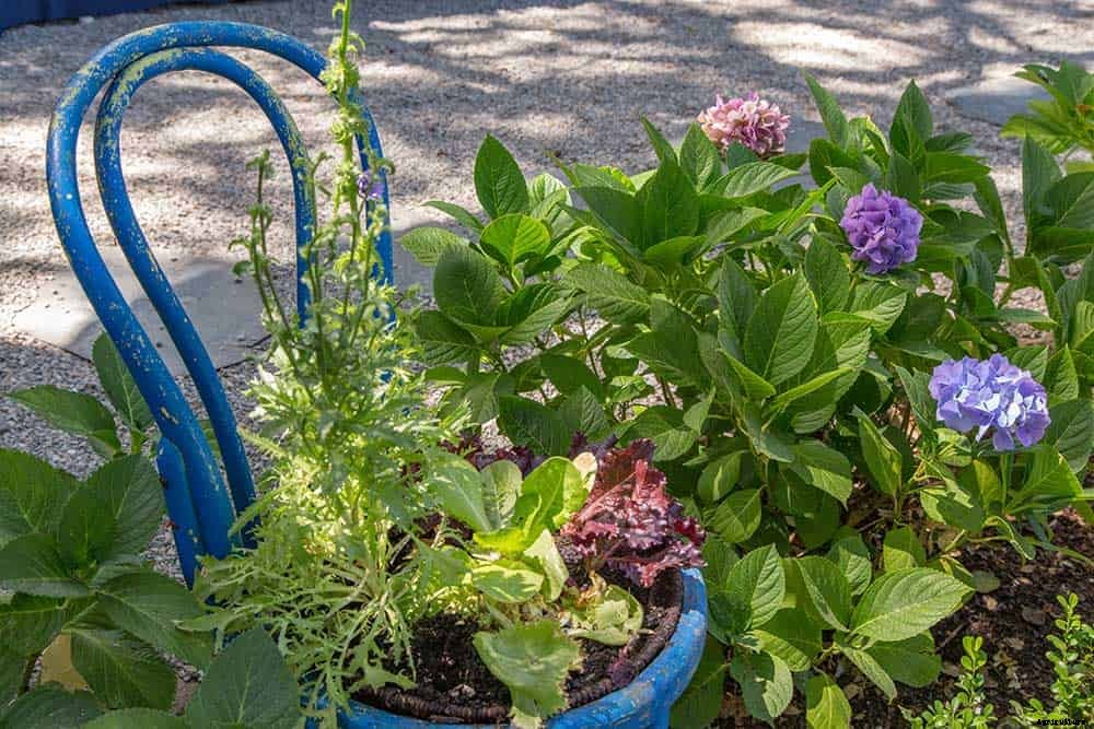 25 Wonderfully Creative Flower Pots & Planters!