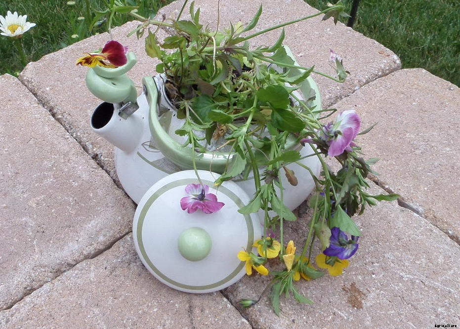 25 Wonderfully Creative Flower Pots & Planters!