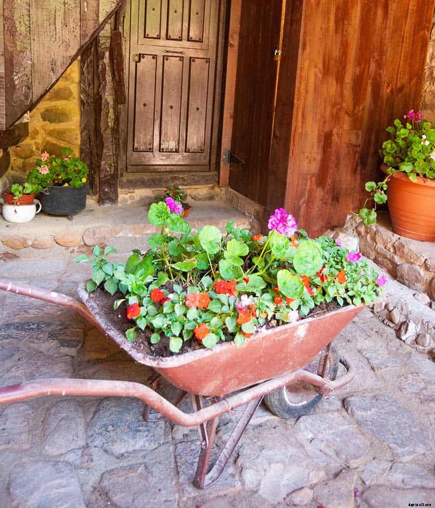 25 Wonderfully Creative Flower Pots & Planters!