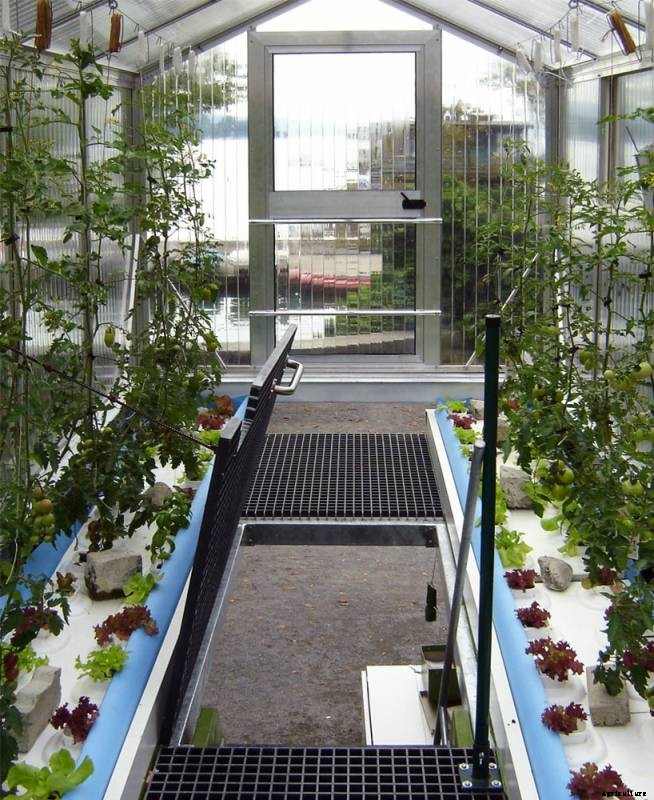 Shipping Container Greenhouse is Awesome Urban Farm-In-A-Box