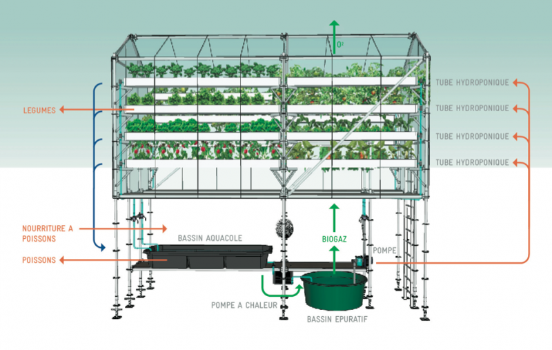 Shipping Container Greenhouse is Awesome Urban Farm-In-A-Box