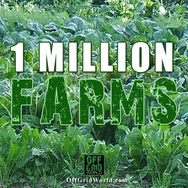 1 Million Small Farms Adds 2.7 Million Jobs & Feeds All Americans, Including The Homeless!