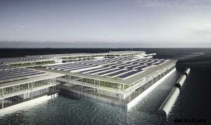 Off Grid Technology Could End Up Feeding The World With Solar Floating Farms.