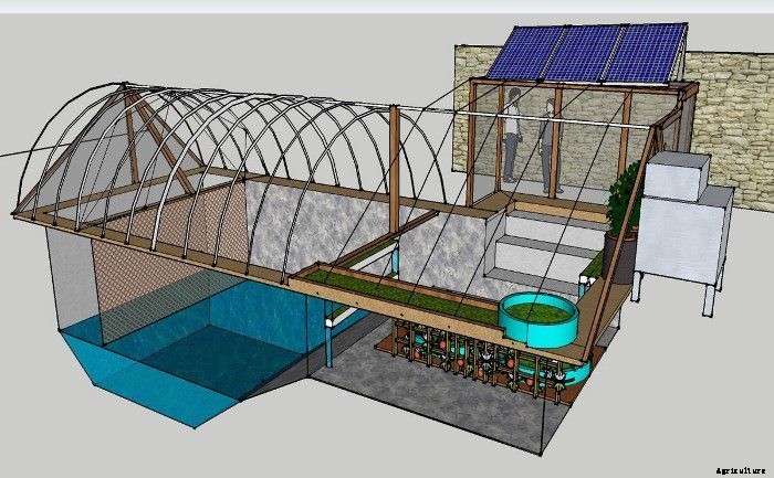 Ultimate Underground Greenhouse Built From Converted Pool