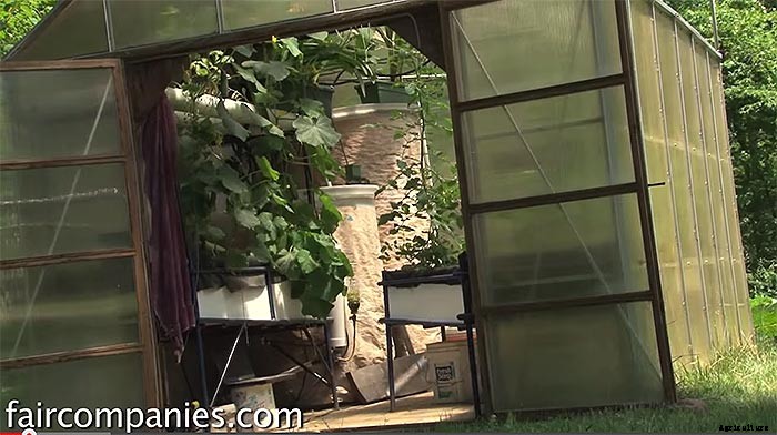 Backyard Aquaponics: DIY System to Farm Fish & Veggies