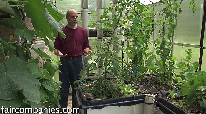 Backyard Aquaponics: DIY System to Farm Fish & Veggies