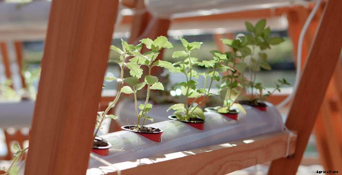 Awesome 750sqft Solar Powered Floating Greenhouse is Pure Genius