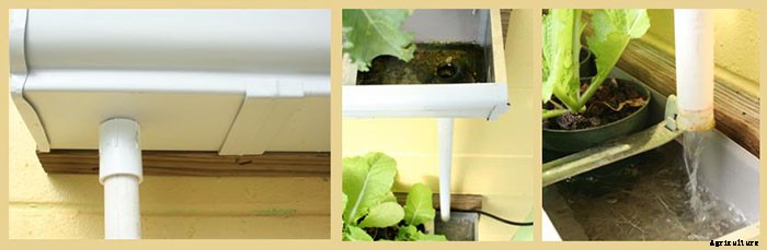 DIY Rain Gutter Aquaponic System