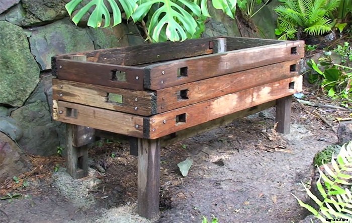 How to Make an Aquaponic Pond System