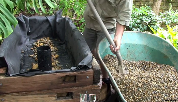 How to Make an Aquaponic Pond System